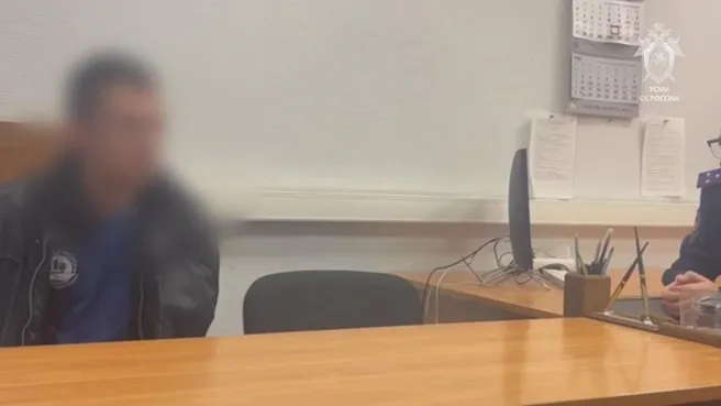 Обвиняемый в убийстве жительницы Зауралья и ребёнка дал признательные показания