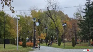В Кургане утвердили жёсткие сроки уборки снега и ремонта площадок