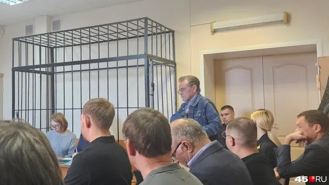 Суд в Кургане продлил Елене Камшиловой арест до 1 февраля