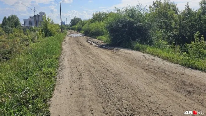 В Кургане предложили проект обновления набережной Тобола