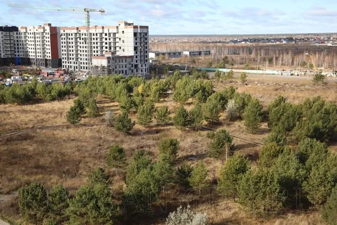 В 12-м микрорайоне Кургана обустроят новый парк на 2,5 гектара