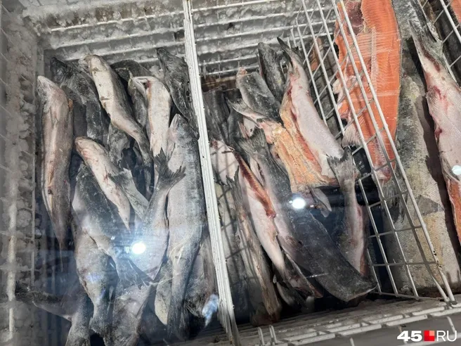 В Кургане горбуша подорожала почти в три раза за четыре года