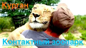 В контактном зоопарке Кургана нашли нарушения ветеринарных норм